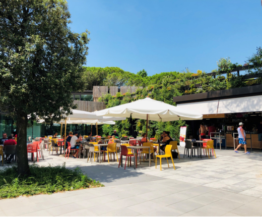 camping ca savio bar